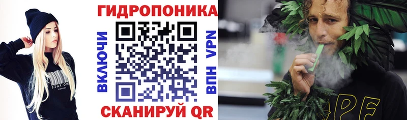 Где купить наркотики Шенкурск Гашиш  Кокаин  Меф  Бошки Шишки 