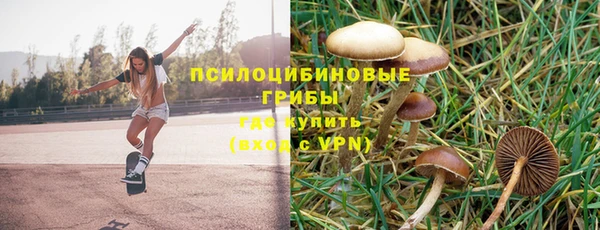 мяу мяу мука Белокуриха