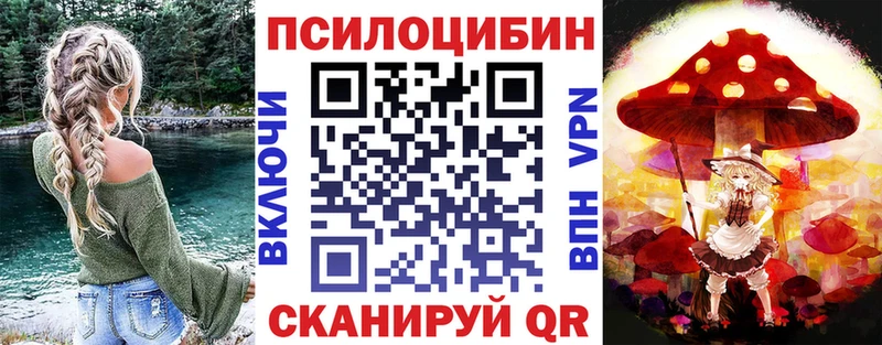 Псилоцибиновые грибы Psilocybine cubensis  Шенкурск 